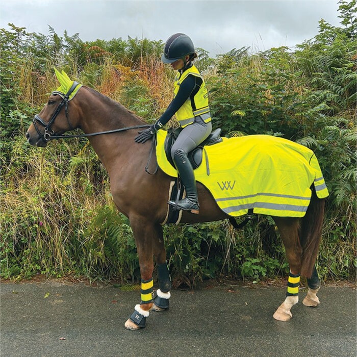 2024 Woof Wear Hi Vis Exercise Sheet WS0032-VZYE-L - Hi Viz